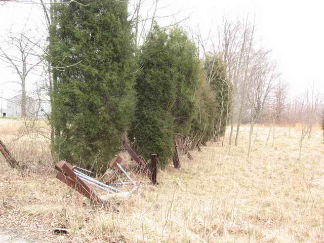 Lake Drive-In - 2006 Photo (newer photo)